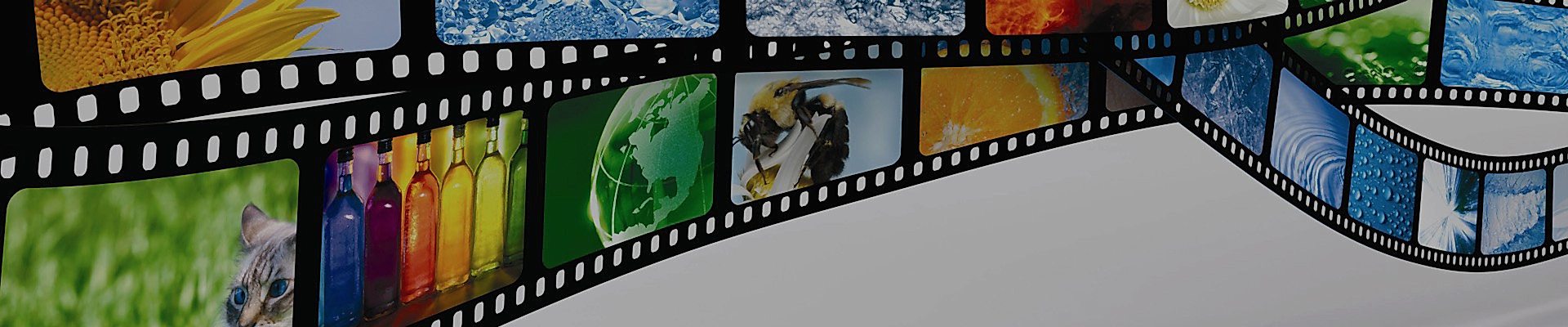 Video Galeri